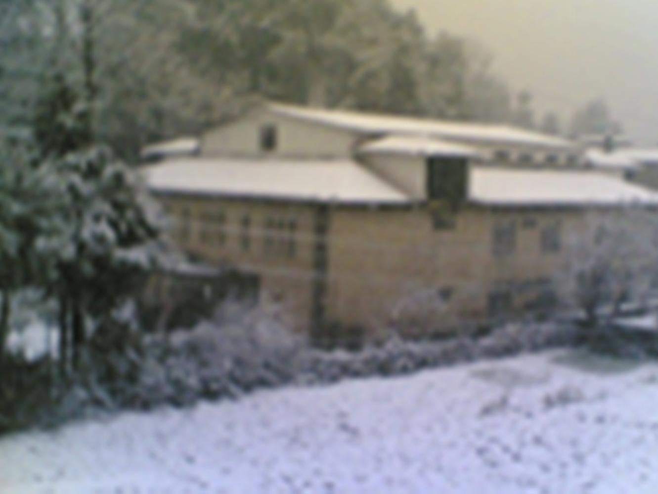 Langdale Manor Hotel Nainital Exterior photo